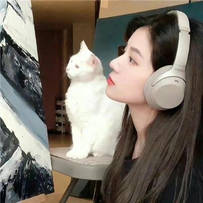泰山与狩猎者